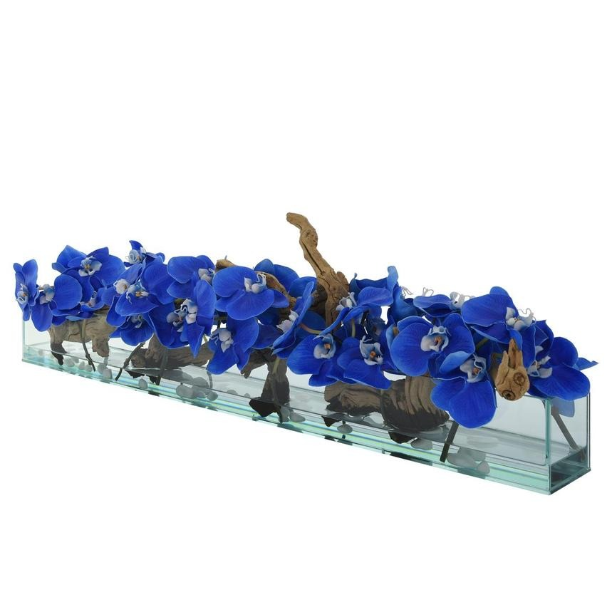 Blaues Orchideen-Aquarium mit Naturholz im Glassockel – 91 cm