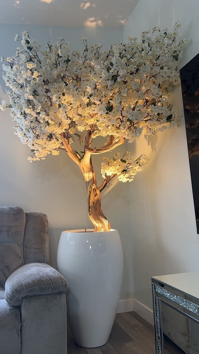 Weiße Kirschblüte „2,13 m" in einer weißen Vase