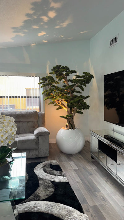 Bonsai „2,4 m" in einem runden weißen Pflanzgefäß